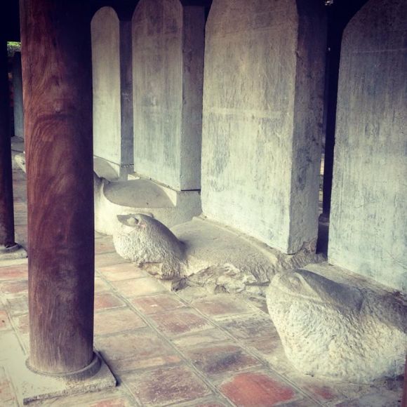 A few of the 116 doctors' steles commemorating royal exam graduates between 1442 and 1779. Vietnamese students attempt to rub the turtles' heads for good luck on exams (hence the barrier). 