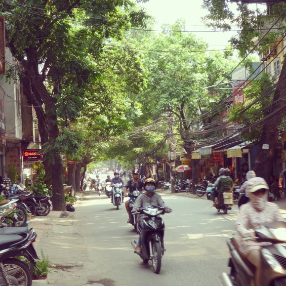 Hoàng Hoa Thám, AKA plant street.