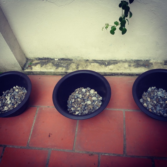 Pots filled with gravel. Exciting times. 